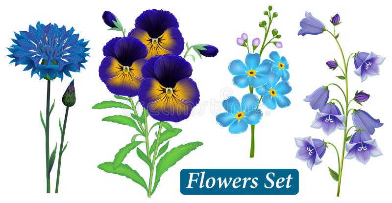 Set of blue wild flowers on a white background, vector.